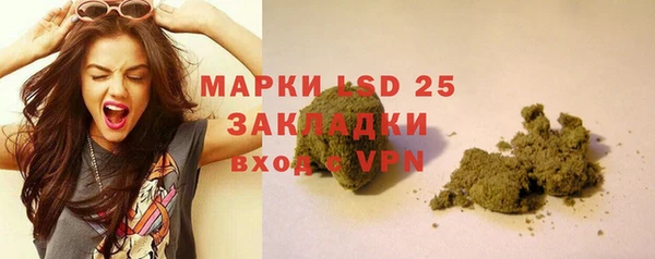 дживик Аркадак