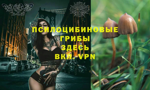 а пвп мука Алексеевка