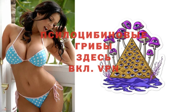 скорость mdpv Гусев