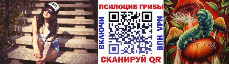 Псилоцибиновые грибы GOLDEN TEACHER Билибино